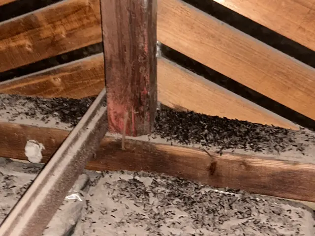 ☆品質保証！☆防除保証可！15年の経験から侵入防止対策！☆無料現場調査可！サービスの画像