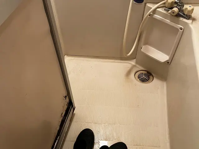 自社スタッフによる信頼の在室・入居中ハウスクリーニング！500件以上の豊富な実績サービスの画像