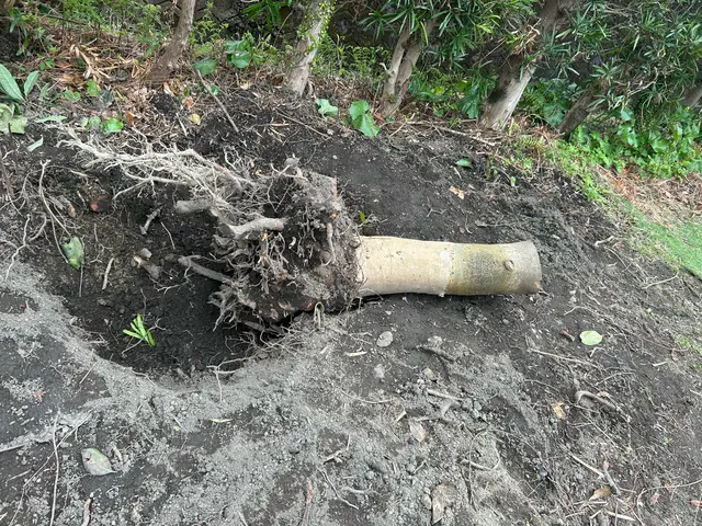 【夫婦で訪問】ヒアリングをしっかりしています。お客様のご要望をお聞かせください。サービスの画像