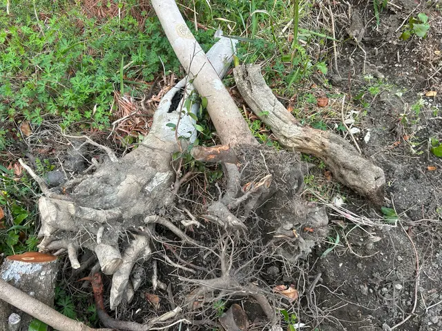 【夫婦で訪問】ヒアリングをしっかりしています。お客様のご要望をお聞かせください。サービスの画像