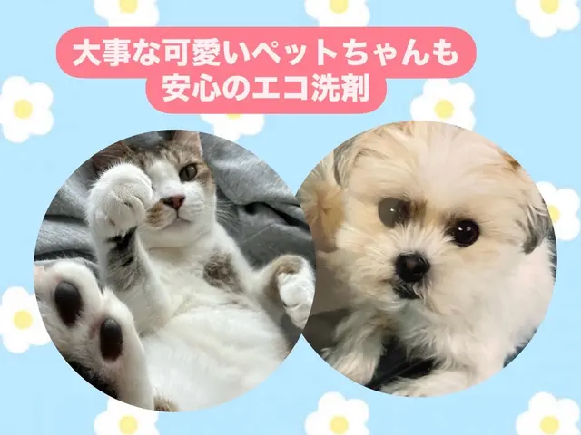 年末のお掃除キャンペーン＊2台目から抗菌コート無料◡̈❁主婦さんママさんの味方♡サービスの画像