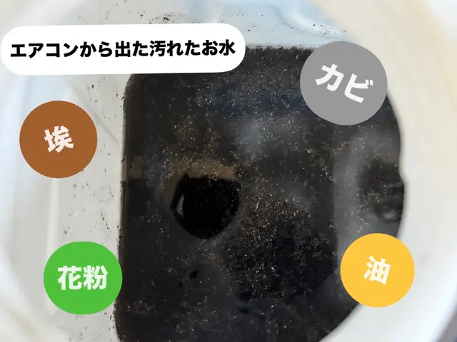 年末のお掃除キャンペーン＊2台目から抗菌コート無料◡̈❁主婦さんママさんの味方♡サービスの画像