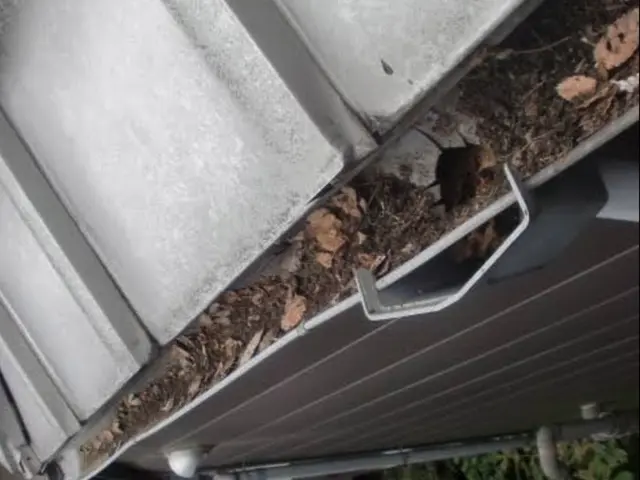 《年中無休》自信の完全自社施工◎安心の損害保険加入済み！駐車場代当店負担◎サービスの画像