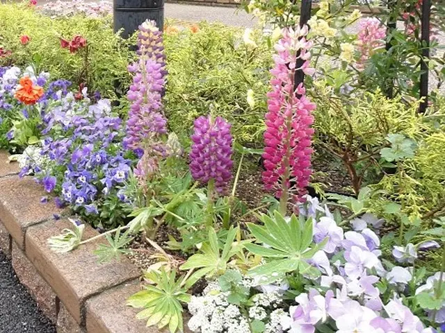 風と緑に命を宿す庭造り！花苗や鉢植え専門の花屋さんと提携してるので安心！！サービスの画像