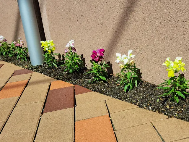 風と緑に命を宿す庭造り！花苗や鉢植え専門の花屋さんと提携してるので安心！！サービスの画像