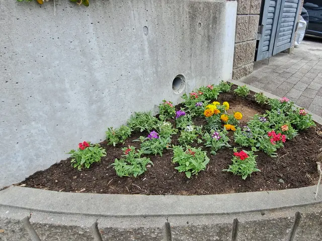 風と緑に命を宿す庭造り！花苗や鉢植え専門の花屋さんと提携してるので安心！！サービスの画像