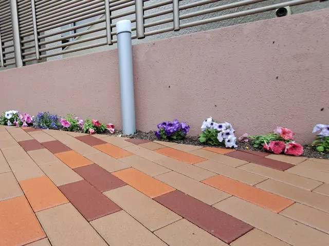 風と緑に命を宿す庭造り！花苗や鉢植え専門の花屋さんと提携してるので安心！！サービスの画像