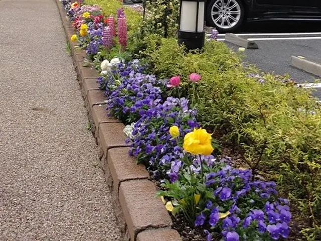 風と緑に命を宿す庭造り！花苗や鉢植え専門の花屋さんと提携してるので安心！！サービスの画像