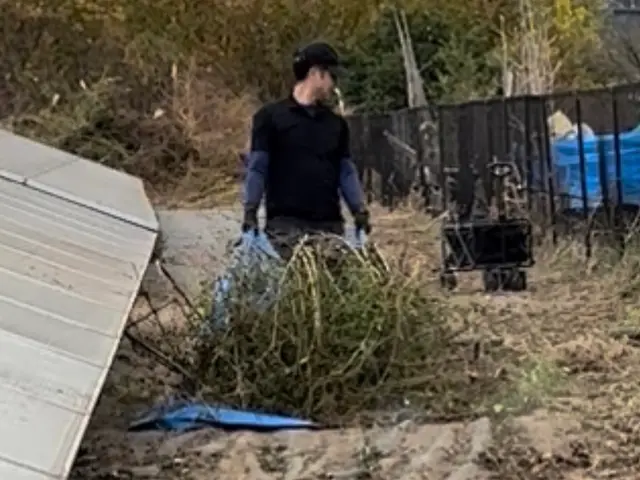 厄介な雑草を徹底除去！UGのハイクオリティ草抜きサービスの画像