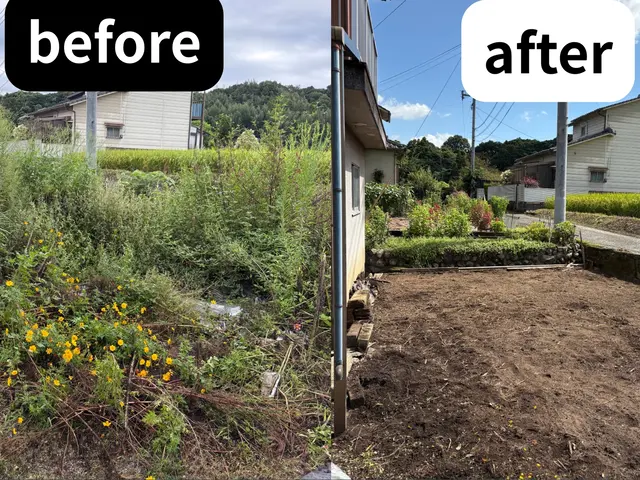 草1本までまごころ除去！UGの手抜き草抜きサービスの画像