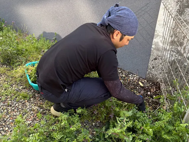 厄介な雑草を徹底除去！UGのハイクオリティ草抜きサービスの画像