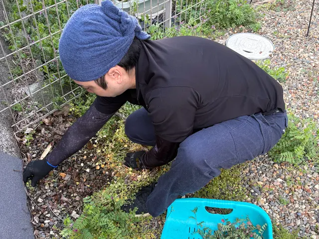 厄介な雑草を徹底除去！UGのハイクオリティ草抜きサービスの画像