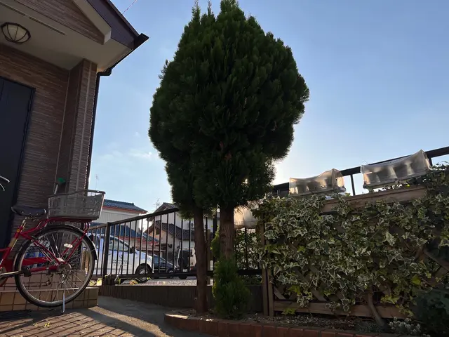 ●大小問わず●1本でもOK●素早く作業●親切丁寧100点サービスの画像