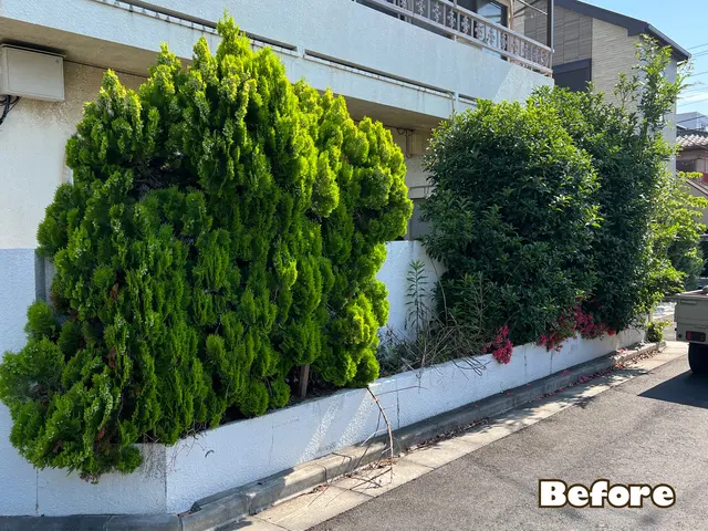 ●大小問わず●1本でもOK●素早く作業●親切丁寧100点サービスの画像