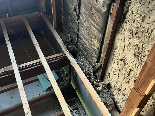 クレジット対応、お客様に画像で見て頂き駆除致します！サービスの画像