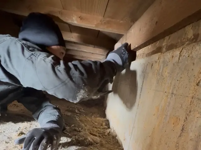 クレジット対応、お客様に画像で見て頂き駆除致します！サービスの画像