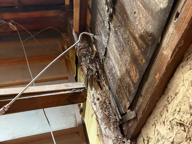 クレジット対応、お客様に画像で見て頂き駆除致します！サービスの画像