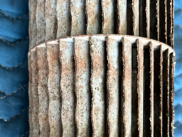 ★9月限定価格★ 通常価格12000円→9500円♪オプション込み価格！サービスの画像