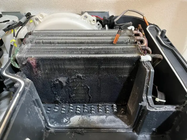 【値上げが当たり前の世の中に喝っ】15名限定¥29000→¥27000_残10名サービスの画像