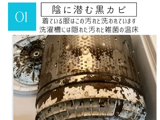 【2026年新年先得】▼4000円引のお年玉▼26名枠限定26000円_残20名サービスの画像