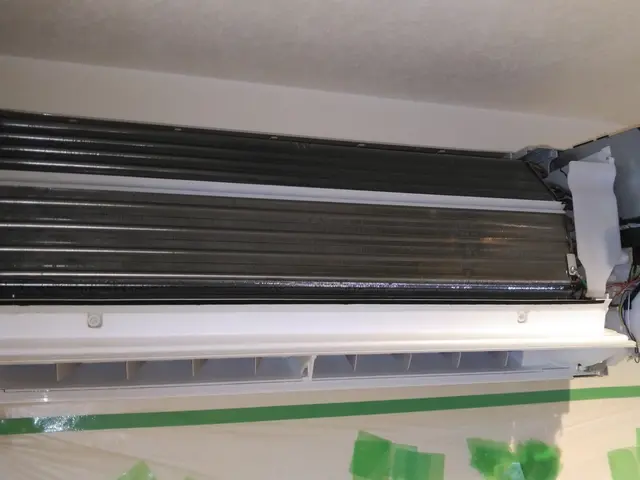 ２台以上で超お得！エコ洗剤使用でお子様・ペットにも安心で空気スッキリサービスの画像