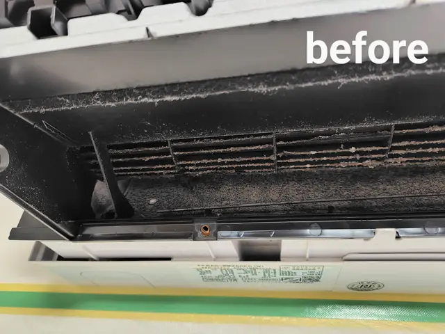 ２台以上で超お得！エコ洗剤使用でお子様・ペットにも安心で空気スッキリサービスの画像