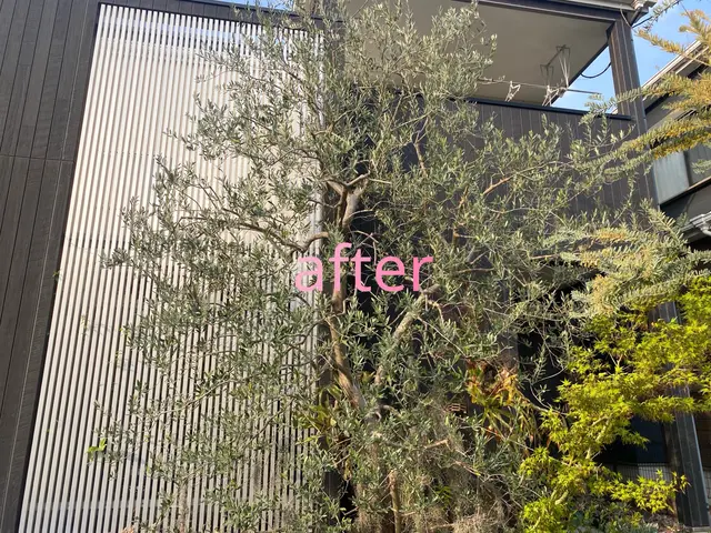 ◆新規出店◆ただ切るだけじゃない。庭木の未来を見据えた剪定で、庭を美しく健康に。サービスの画像