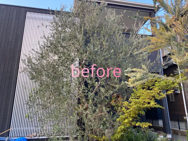 ◆新規出店◆ただ切るだけじゃない。庭木の未来を見据えた剪定で、庭を美しく健康に。サービスの画像