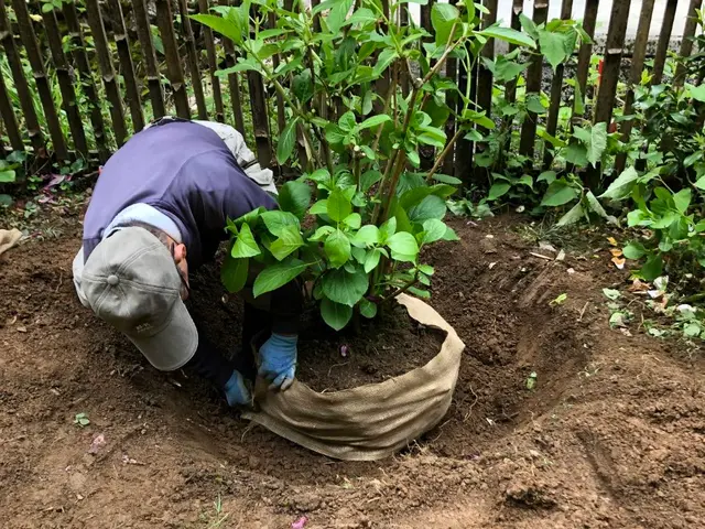 【舞鶴発】◆新規出店キャンペーン◆25年以上の実績！◎お気軽にご相談くださいサービスの画像