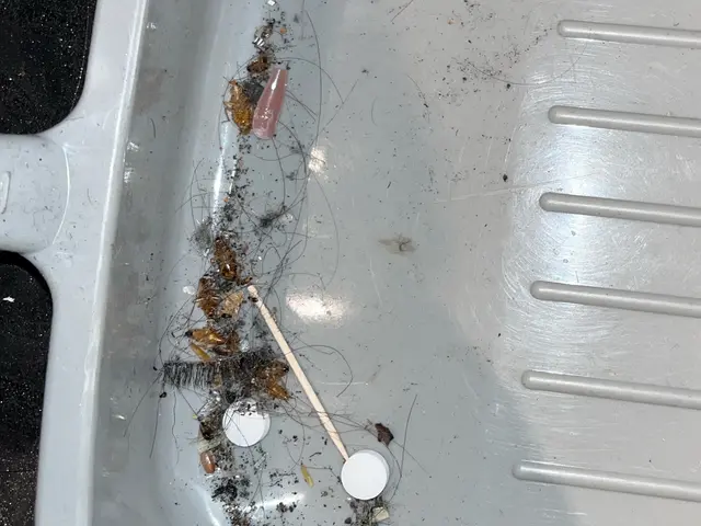 ゴキブリ駆除 / 飲食店・店舗対応（衛生管理・即日対応可）事務所などもOK！サービスの画像