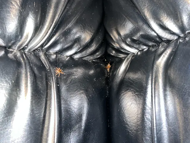 ゴキブリ駆除 / 飲食店・店舗対応（衛生管理・即日対応可）事務所などもOK！サービスの画像