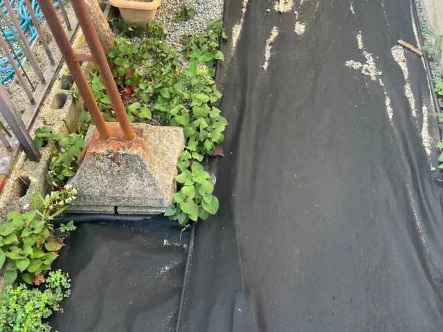 しっかりと草の予防いたします！サービスの画像