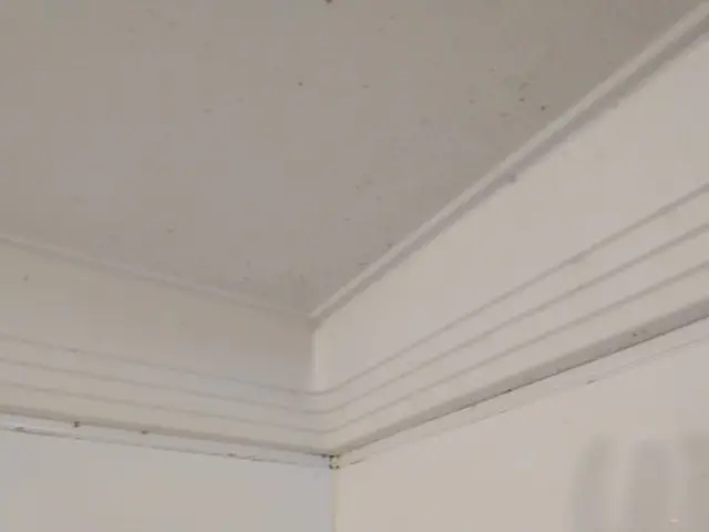 あの【がっちりマンデー！！】で紹介された、急成長のFC「おそうじ革命」です！サービスの画像