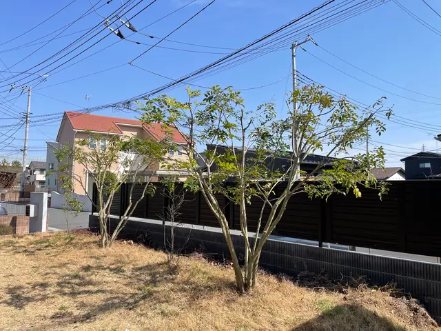 光と風を入れ、庭の空気を整える剪定｜緑地・景観管理まで一括対応サービスの画像