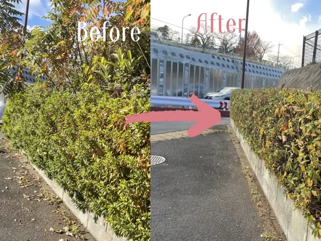 「1本だけでも大丈夫？」大歓迎です！伸びすぎた庭木スッキリ剪定しますサービスの画像