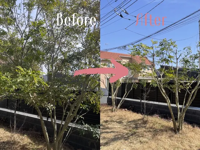 「1本だけでも大丈夫？」大歓迎です！伸びすぎた庭木スッキリ剪定しますサービスの画像
