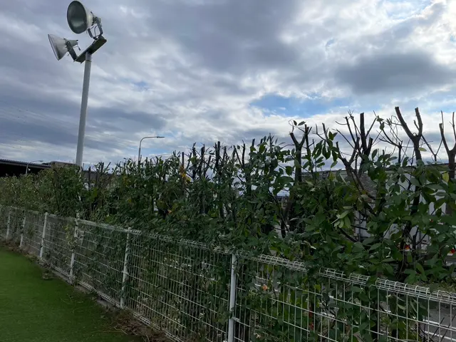 5年の実績と馬力が自慢！予算に合わせて丁寧に提案する安心の出張お手入れサービスサービスの画像