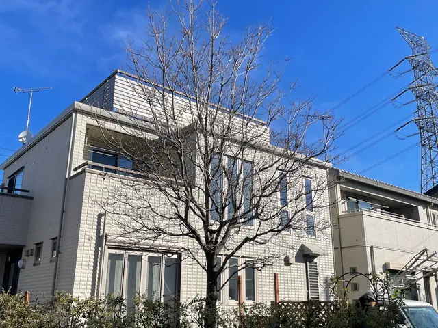 光と風を入れ、庭の空気を整える剪定サービスの画像