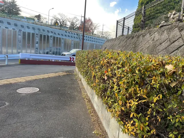 スッキリきれいに造る。CTYが造る剪定サービス！サービスの画像