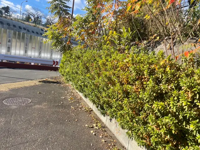 スッキリきれいに造る。CTYが造る剪定サービス！サービスの画像