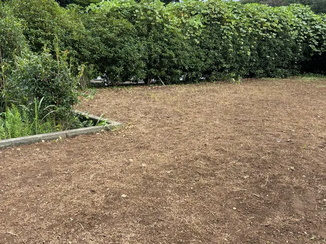 プロの技術でご満足いただけるように心を込めて作業いたします！女性スタッフ同行可サービスの画像