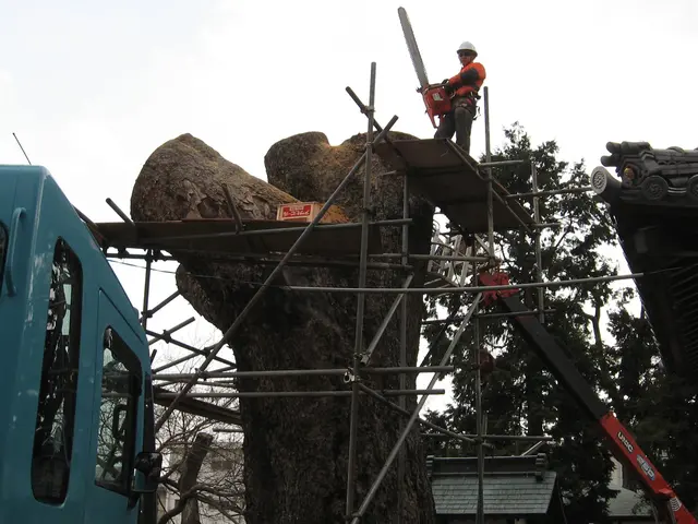 【職人歴23年の経験と実績】１級造園技能士の私がお伺いします！サービスの画像