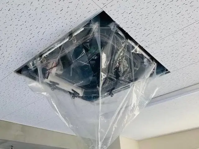 大好評につき消臭抗菌コート無料延長サービスの画像