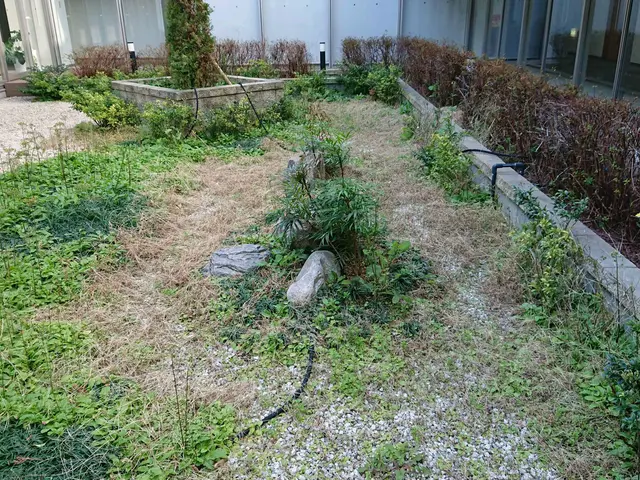 ＜１級造園技能士＞損害保険加入済み！対応地域外もご相談可能！女性スタッフ同行可◎サービスの画像