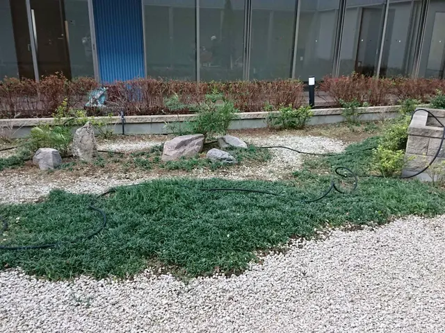 ＜１級造園技能士＞損害保険加入済み！対応地域外もご相談可能！女性スタッフ同行可◎サービスの画像