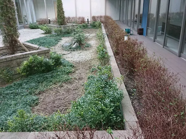 ＜１級造園技能士＞損害保険加入済み！対応地域外もご相談可能！女性スタッフ同行可◎サービスの画像