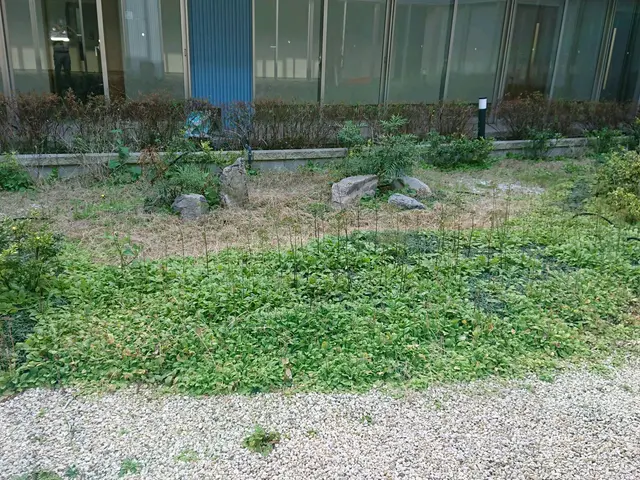 ＜１級造園技能士＞損害保険加入済み！対応地域外もご相談可能！女性スタッフ同行可◎サービスの画像