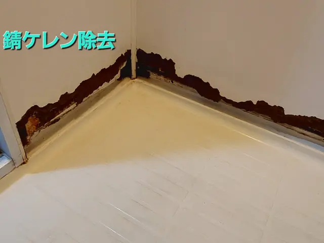 カビだらけの水回りのコーキング。打ち換えてスッキリしませんか？サービスの画像