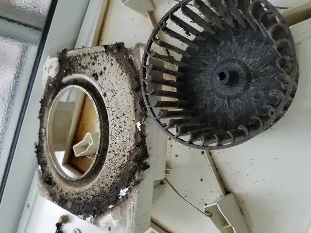 圧倒的な高評価！！！99％のお客様が5ッ星☆☆☆☆☆／業歴12年の店長が訪問！サービスの画像