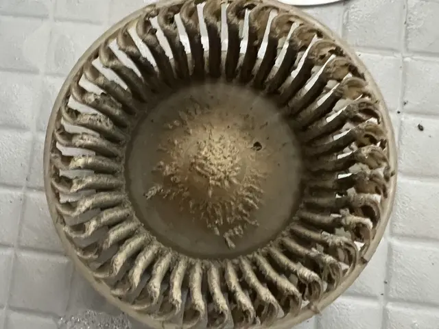 国家資格ハウスクリーニング技能士が完全対応！夫婦でお伺いいたします！サービスの画像